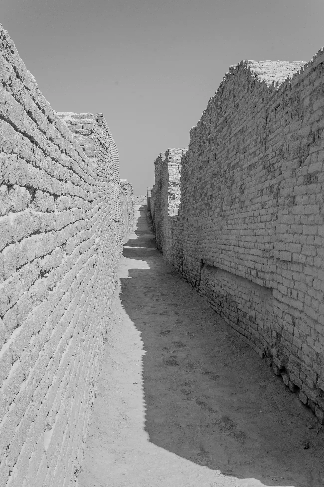 A narrow residential lane running between standing fired-brick walls at Mohenjo-daro